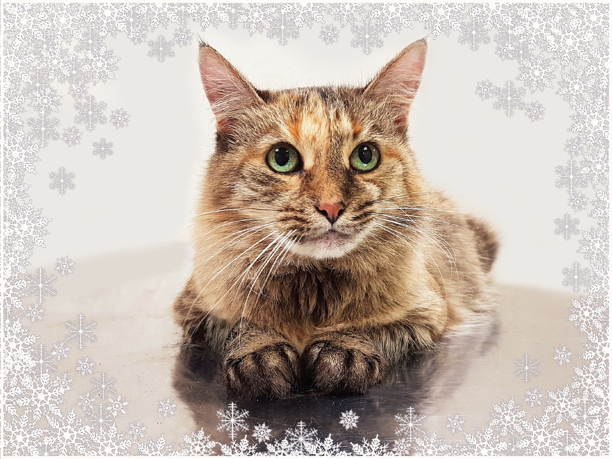 И стать тоже нужной и любимой... 