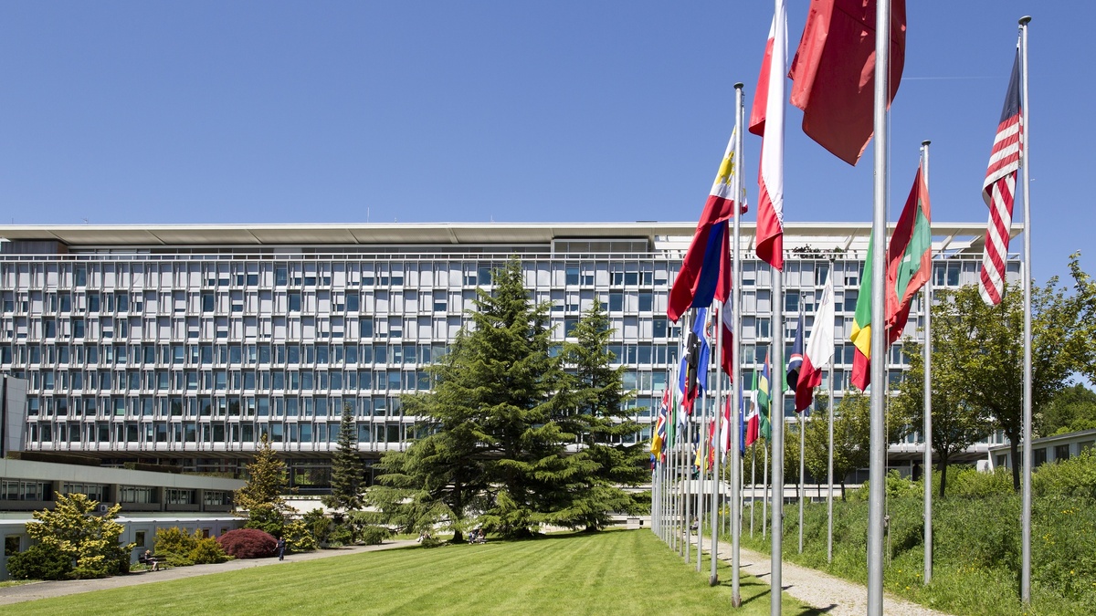 Яндекс дзен.