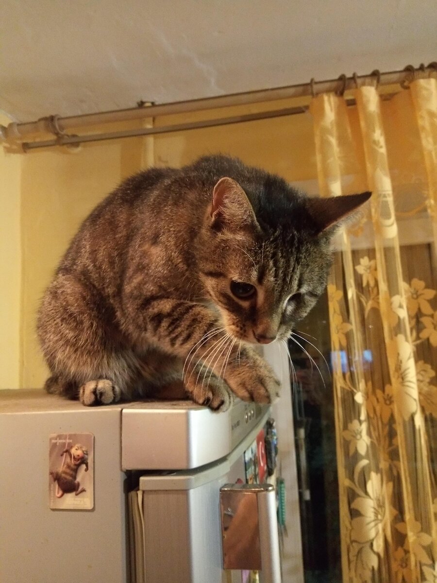 Сережа переживает за Пашку...