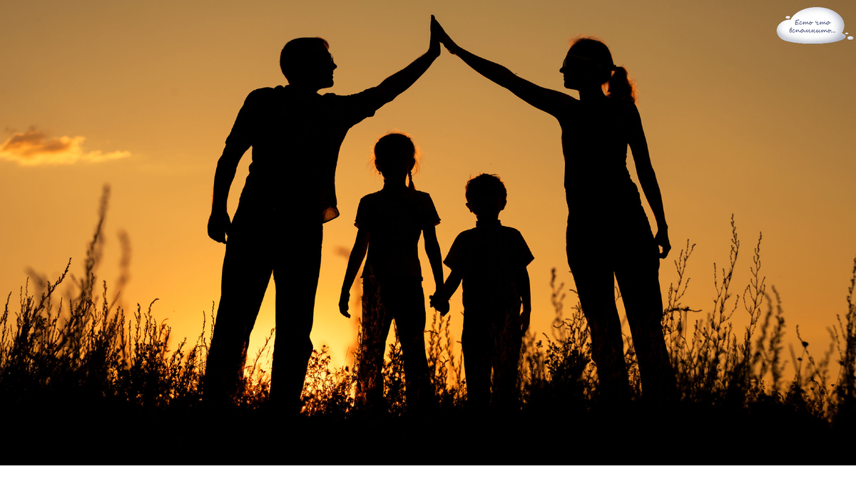 Фото из свободных источников интернета Яндекс.картинки