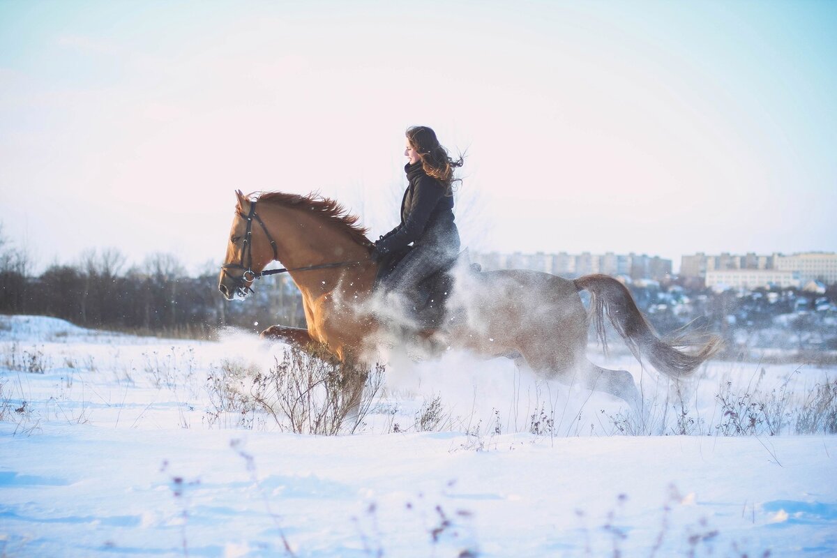 Конник на лошади