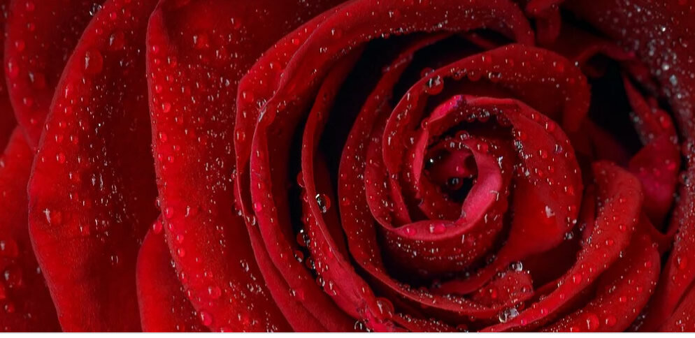 5 подарков на 14 февраля