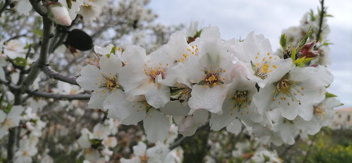 Фото сделано мной 