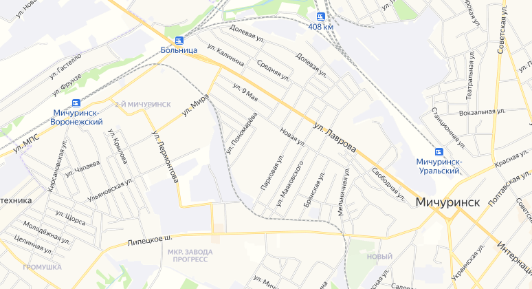 мичуринский проспект д 9. мичуринский проспект 70 на карте москвы. левел мичуринский план застройки. жк мичуринский на карте. карты на мичуринском.