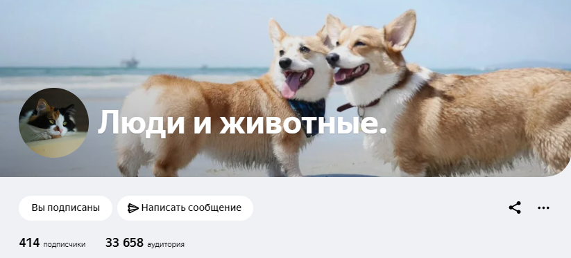 Скрин моего канала)