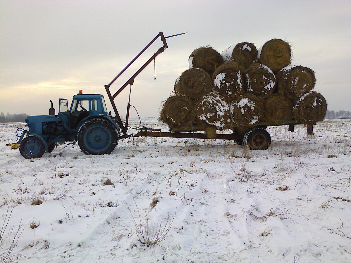 Фото из Яндекс Картинок