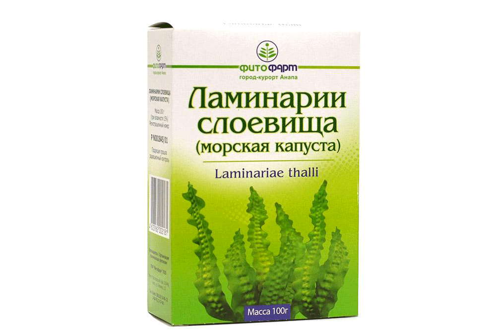 Ламинария. Фото с просторов интернета.