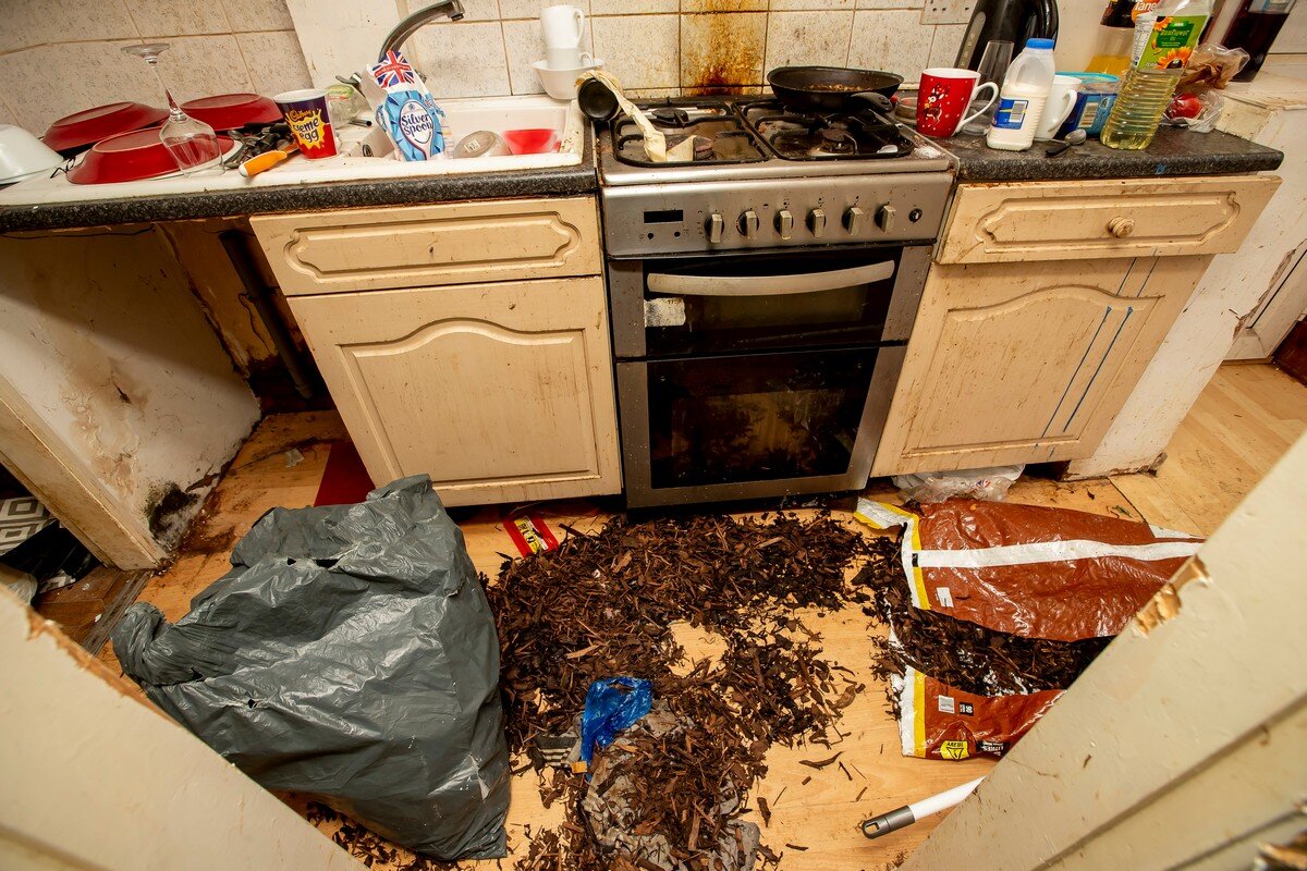 фото из открытых источников