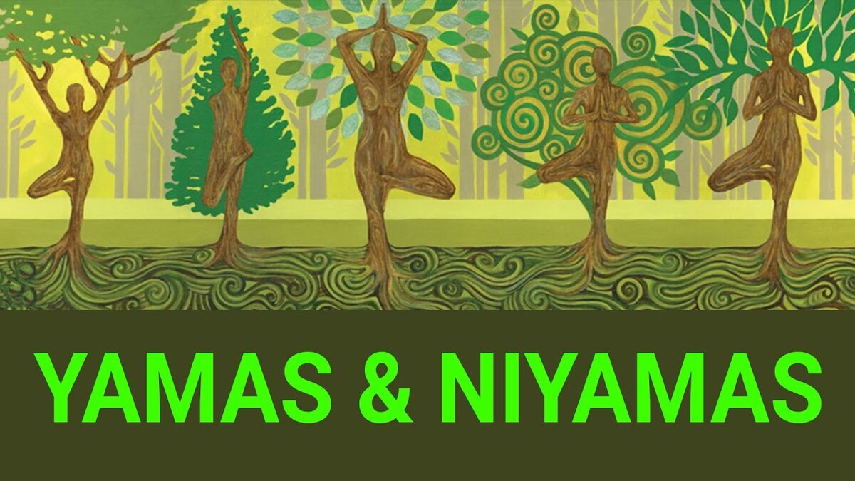 Фото из открытого источника.