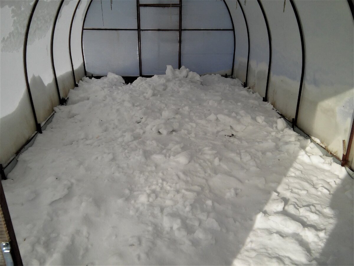 Снег для влаги.