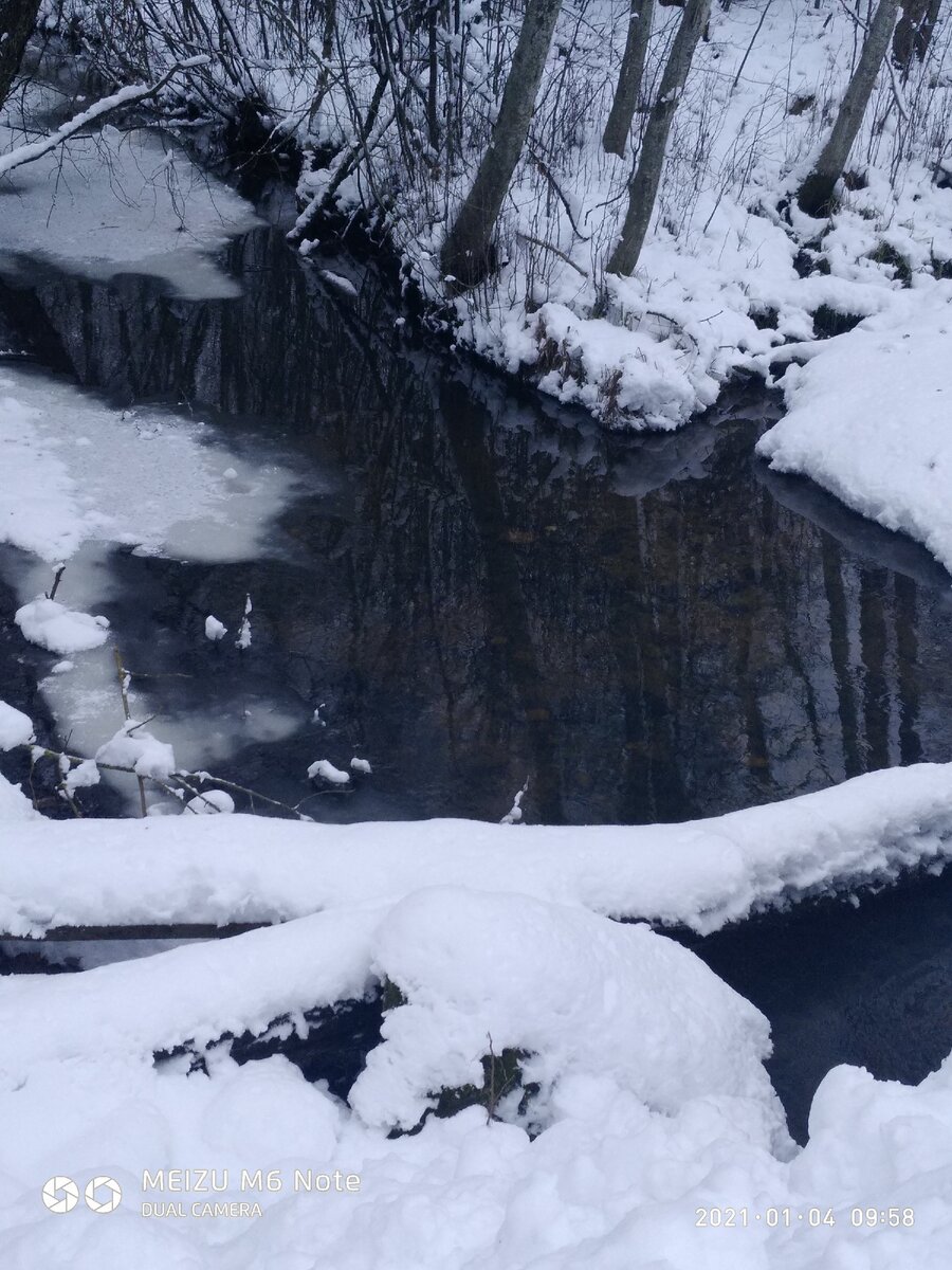 Уходи скорей,снежок ,дай пройти на бережок..