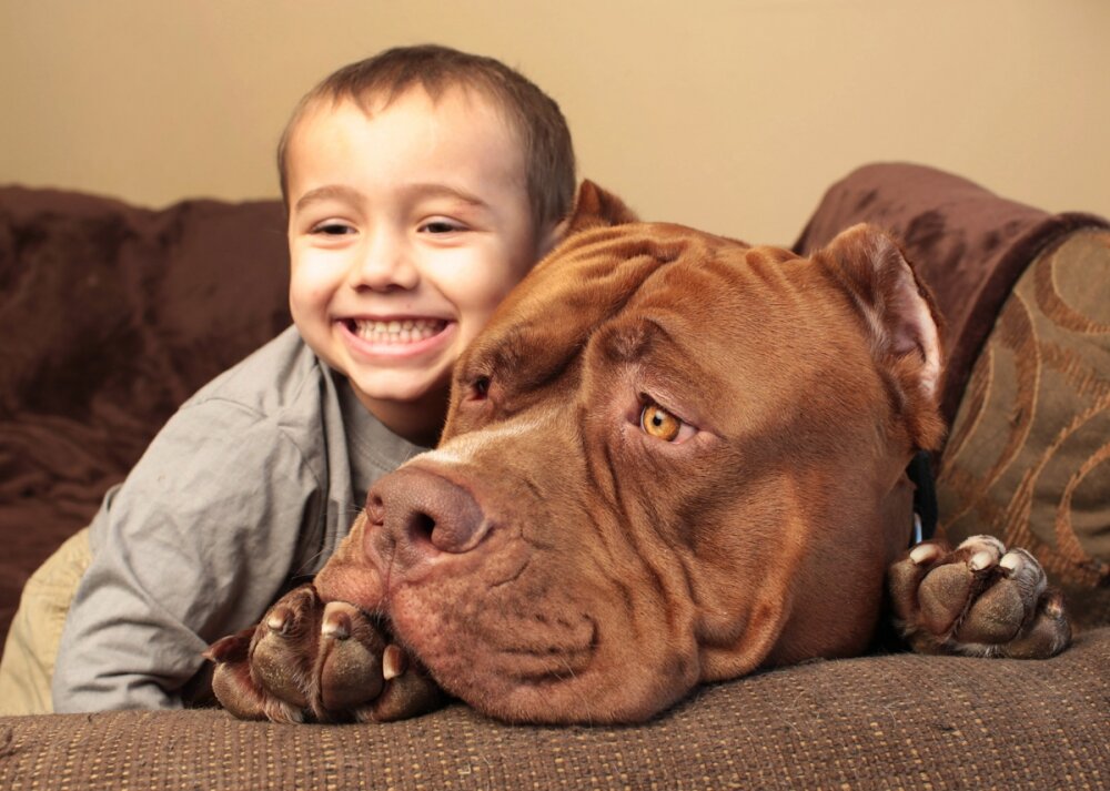  ИСТОЧНИК ФОТО: FUNIK.RU