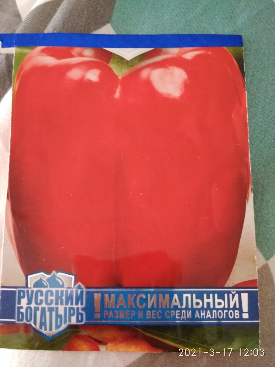 Впервые сажаю семена перца"Красный бык" любимой фирмы "Gavrich" из серии плодов-великанов "Русский богатырь". Надеюсь, не разочаруюсь...