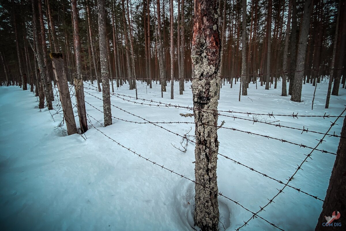 Колючая проволока. 