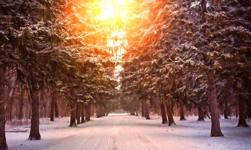 28 февраля. Отличный, суперский зимний лес