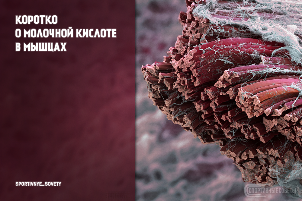 открытый источник