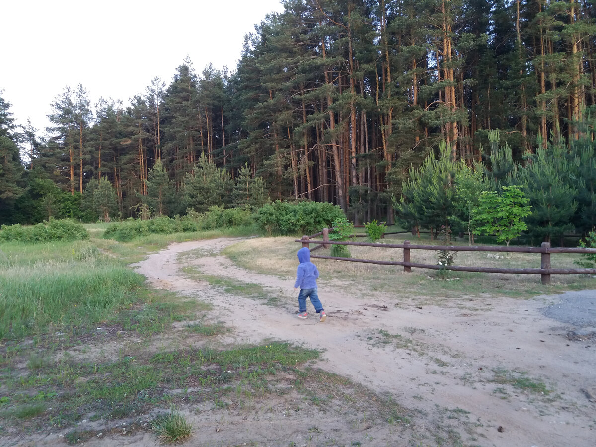 Запреты  не действуют на детскую психику, действенны только образы глаза и детали историй похищенных детей!