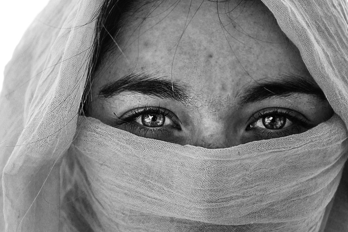 Фото из открытого источника pixabay.com