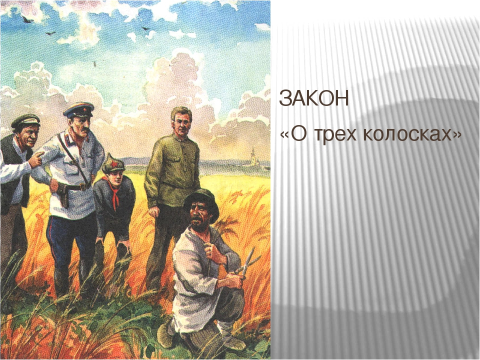 O three. Закон о трех колосках. Три колоска. Закон о трех коколосках. Указ о трех колосках.