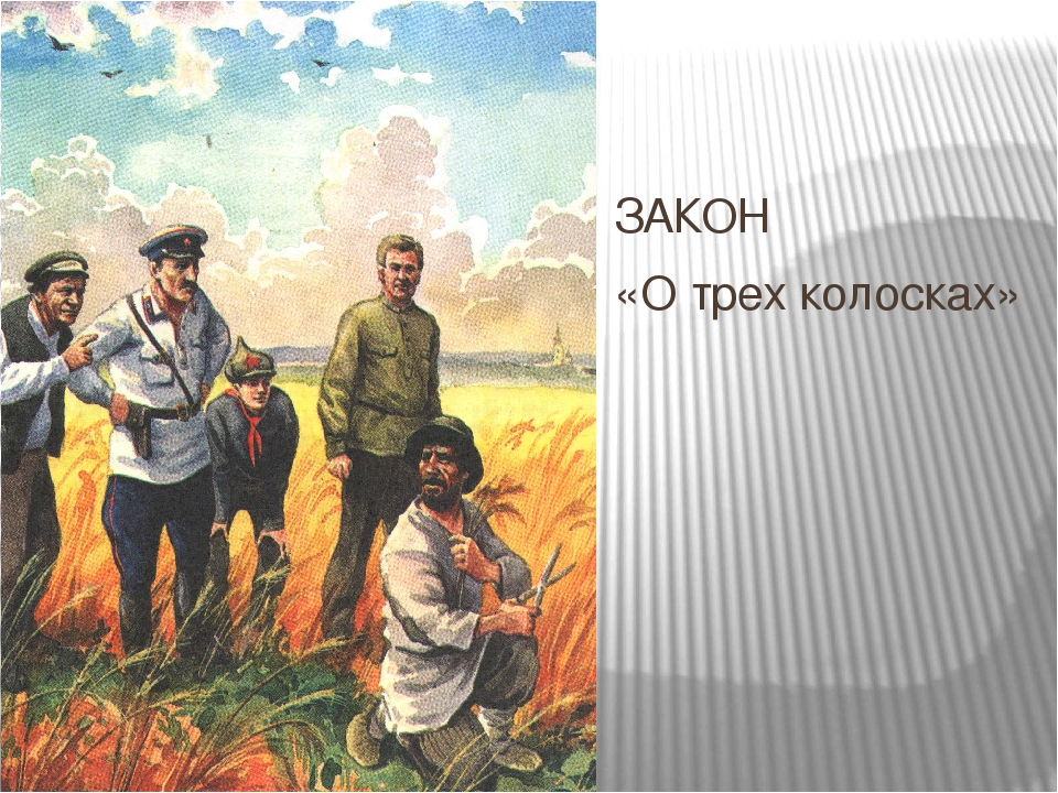 7 августа 1932. Закон о трёх колосках 1932. Указ о трех колосках. Три колоска. Закон о трех коколосках.