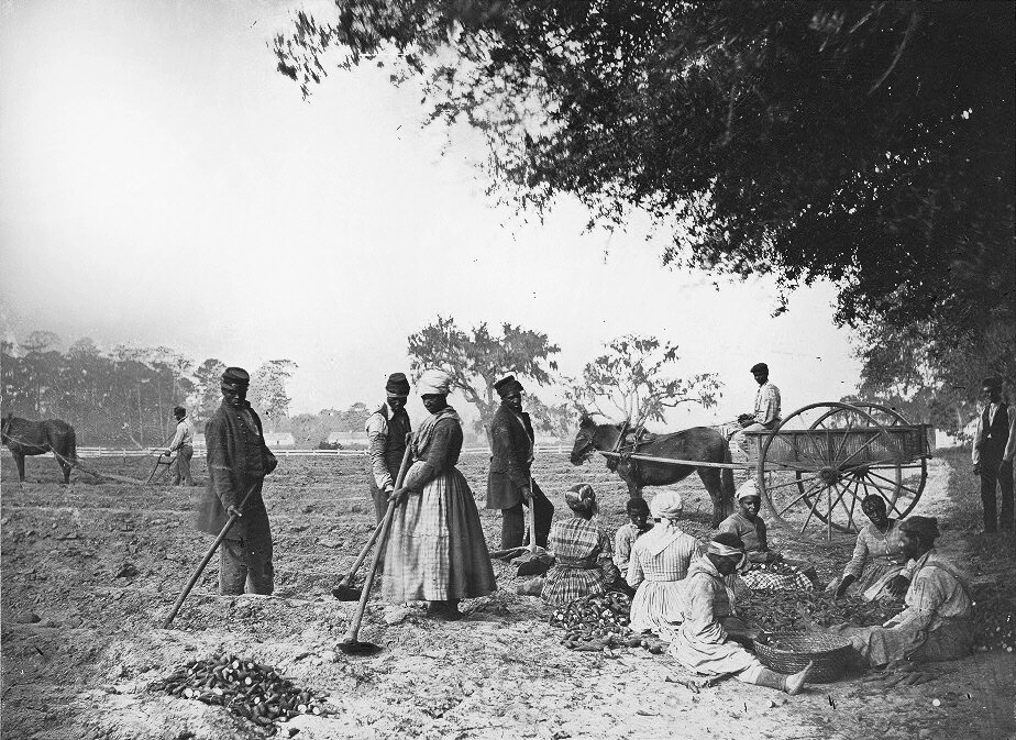 Рабы на плантации Хопкинсона, 1862 год / Нью-Йоркское историческое общество, США
