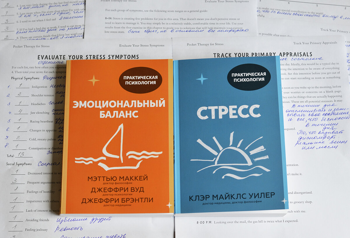 Как сделать свою жизнь лучше, избавиться от стресса и найти жизненный баланс?  | Блог о книгах и не только | Дзен