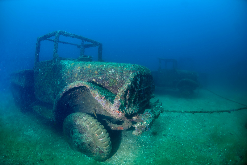 Другие удивительные находки подводного мира