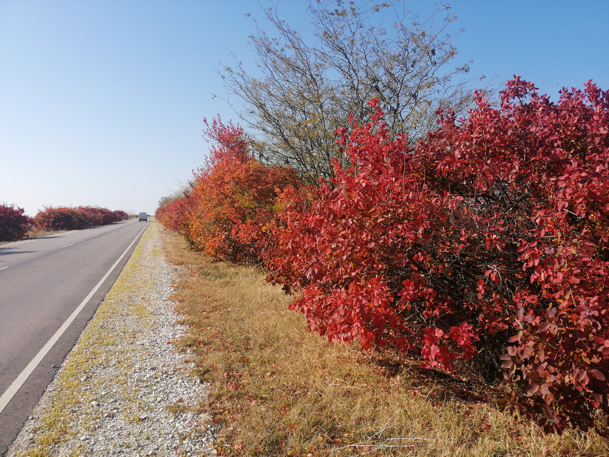 Конец октября в Крыму. Солнечно и красиво! 