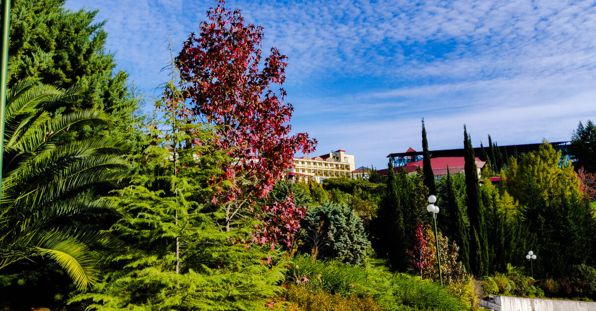 Территория пансионата Шексна