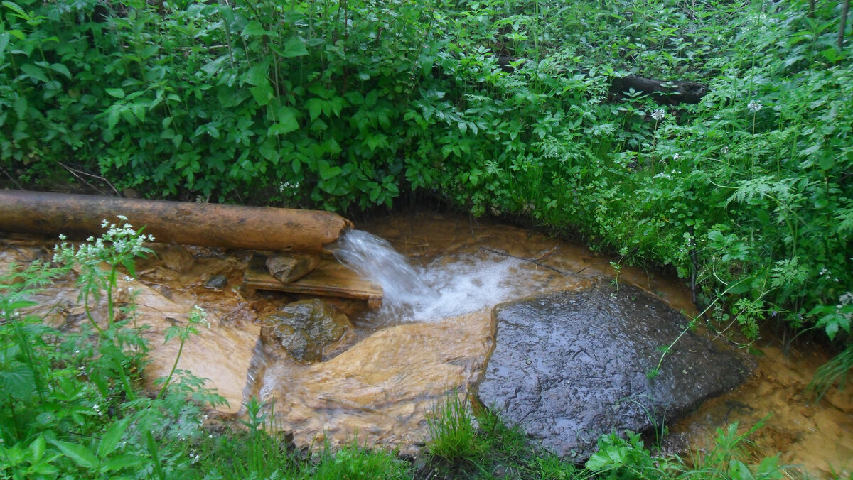 Ржавый ключ. Фото автора