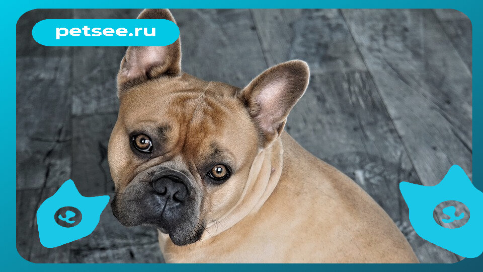 Источник: pixabay.com