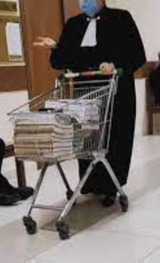 Фото из интернета . Волочилка для дела.