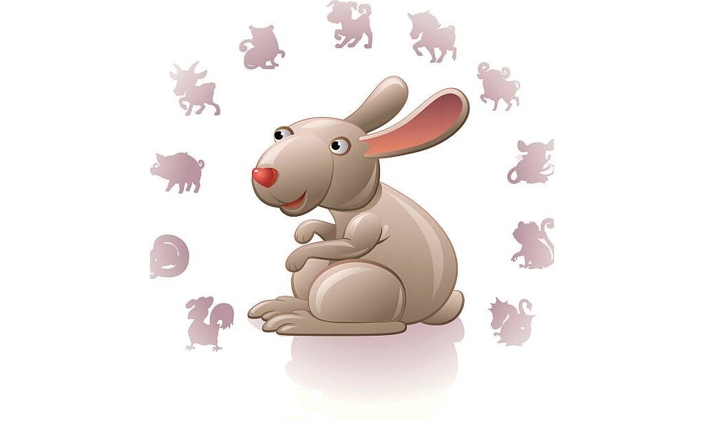 Знаки зодиака кролик года. Кролик китайский гороскоп. Символы китайского гороскопа кролик. Год кролика 2023. Восточный гороскоп кролик.
