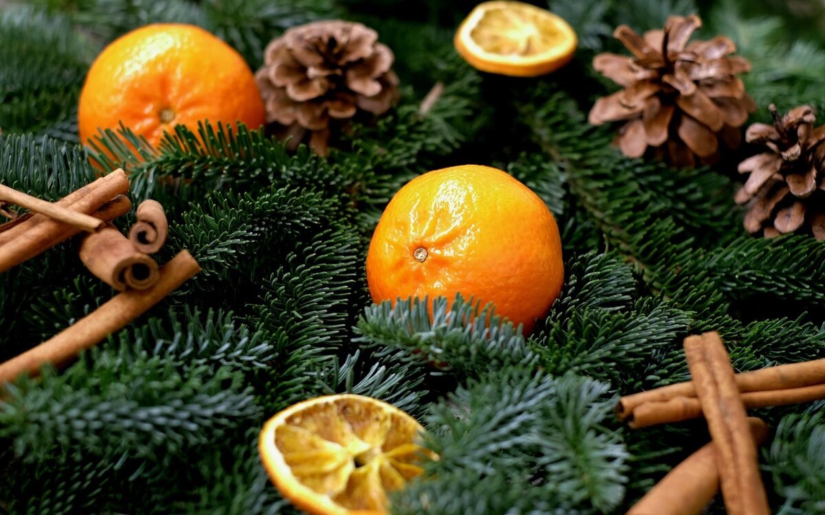 Фото из интернета