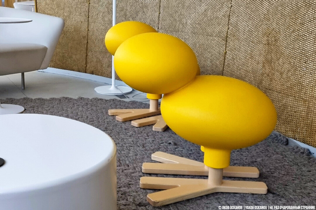 Мы летели снимать птиц, и сочли такой интерьер знаком свыше :)