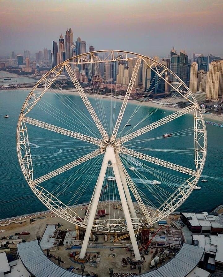 Картинка из интернета 