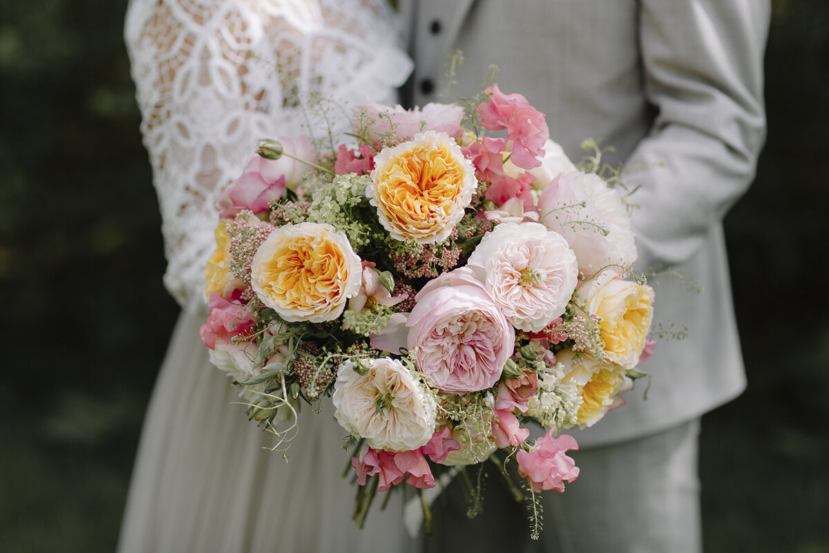 Сорт "Беатрис". Фото компании David Austin Roses