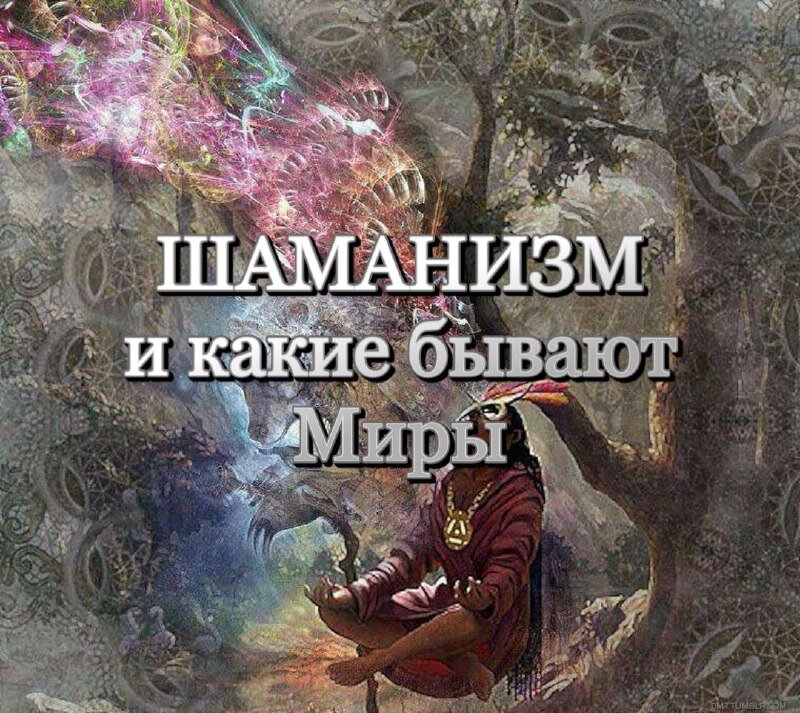 Верхний мир и Нижний мир в шаманизме. Инженерия шаманизма книга.