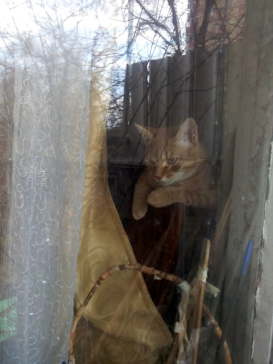 Личное фото. 