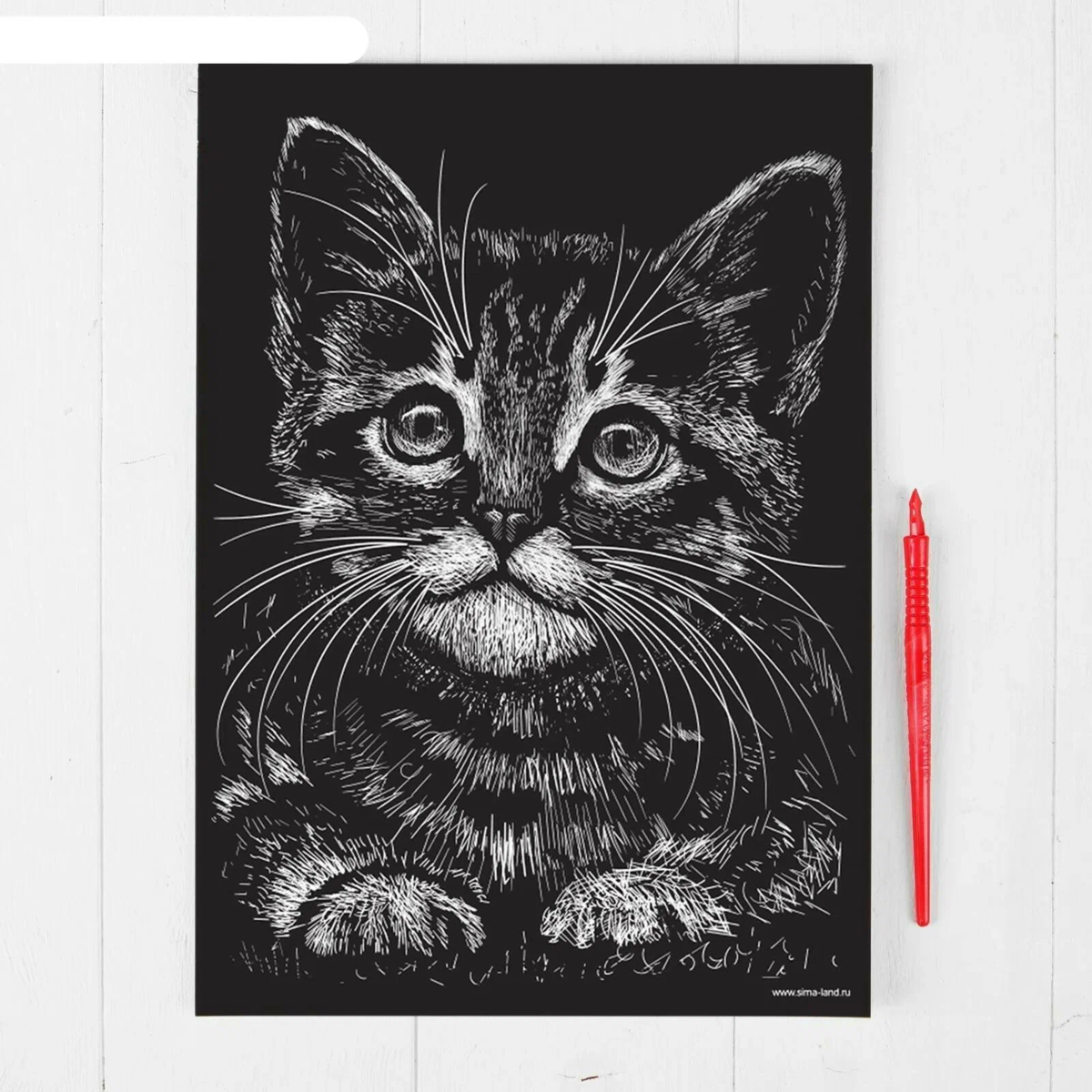 Гравюра котенок. Кот гравюра. Линогравюра кошка. Гравюры с котами. Черно белая гравюра кот.