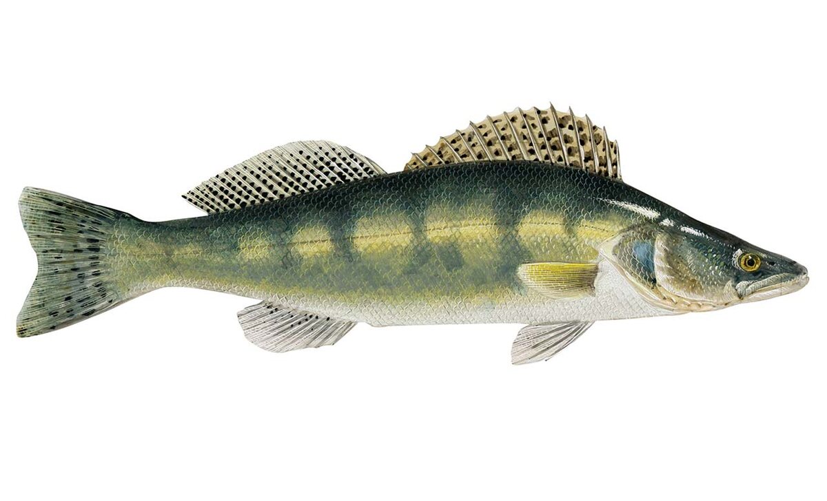 Фото из открытых источников Судак