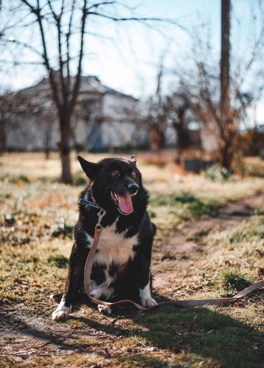 Федор Михайлович