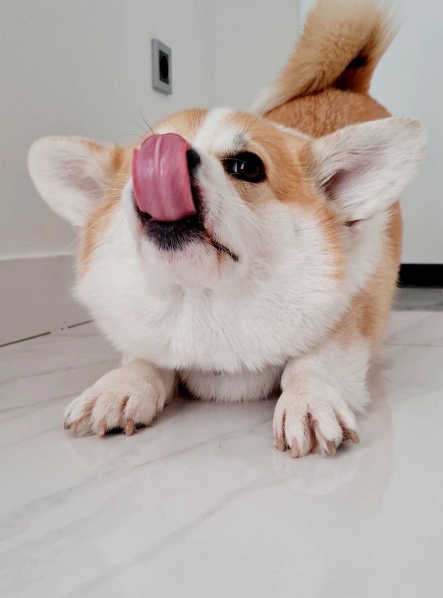  Разминка языка