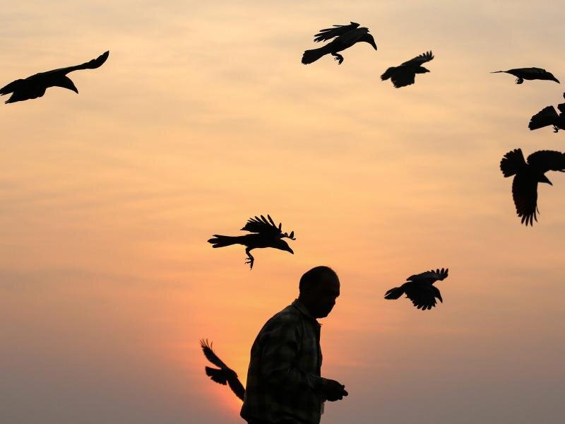 Мысли кружат над человеком.