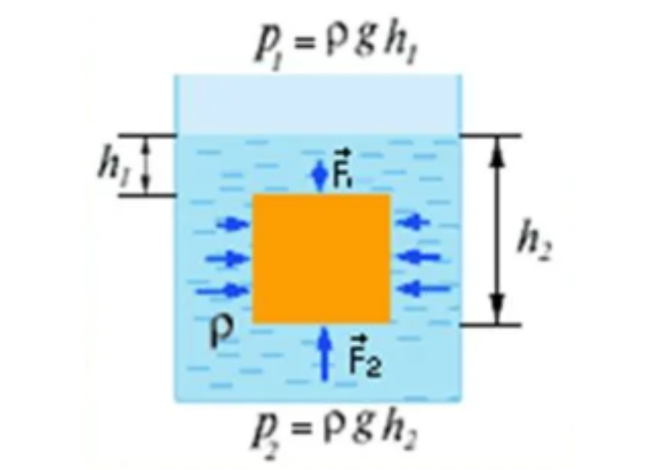 Давление воды на нижнюю грань кубика. Причина возникновения выталкивающей силы. Сила Архимеда формула. Силы действующие на жидкость давление в жидкости. Введение Выталкивающая сила.