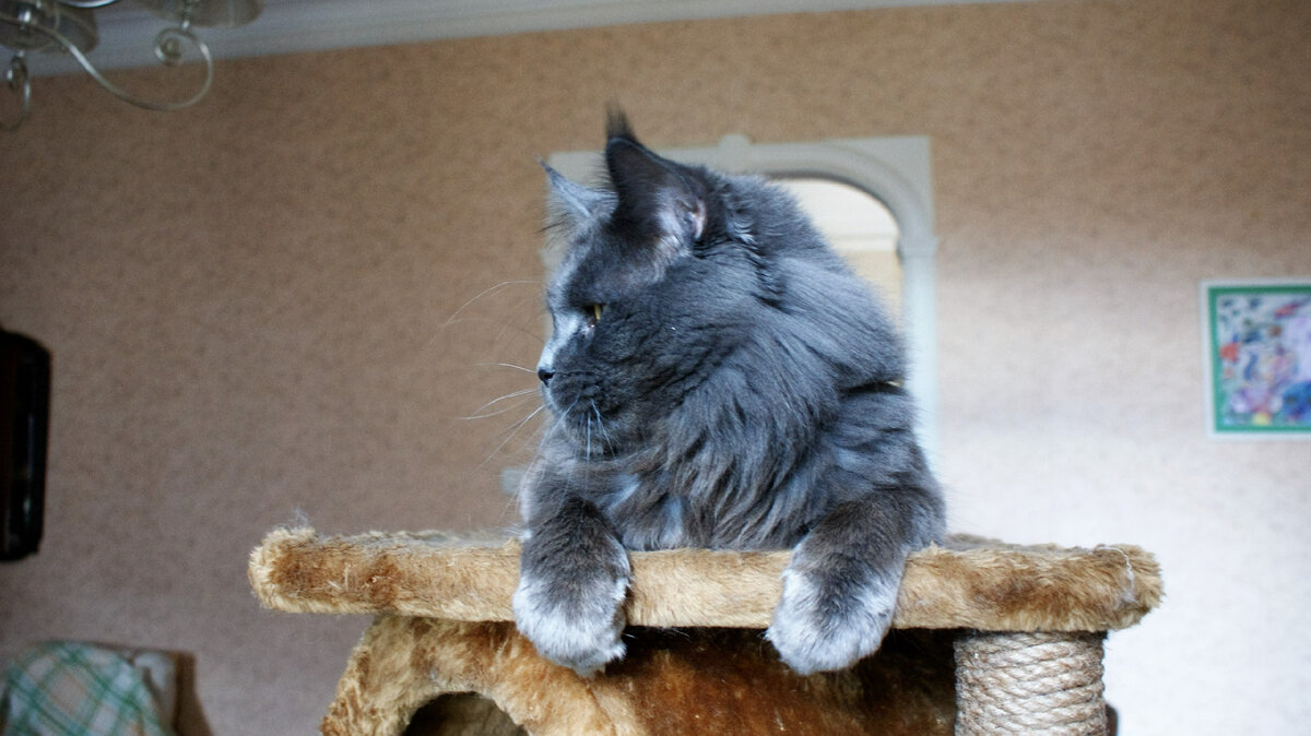 Фото из личного архива.