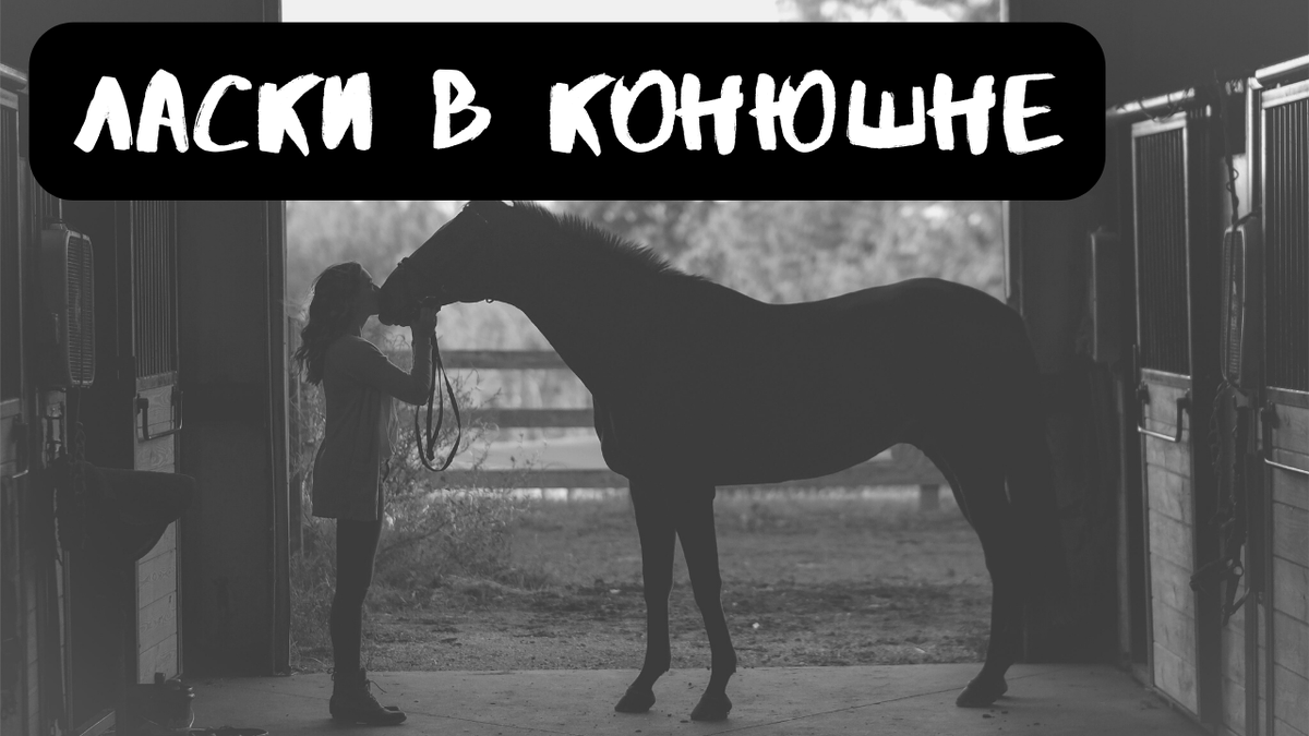 Не забудь подписаться, поставить лайк и написать в комментариях все, что думаешь об истории