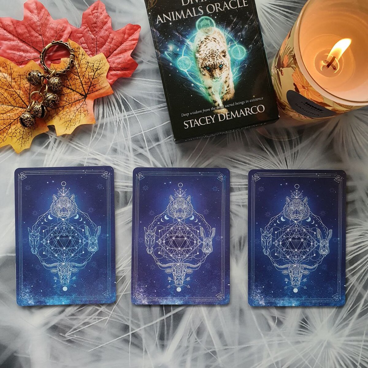 Выбираем 1_2_3