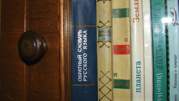 Немного книжной полки