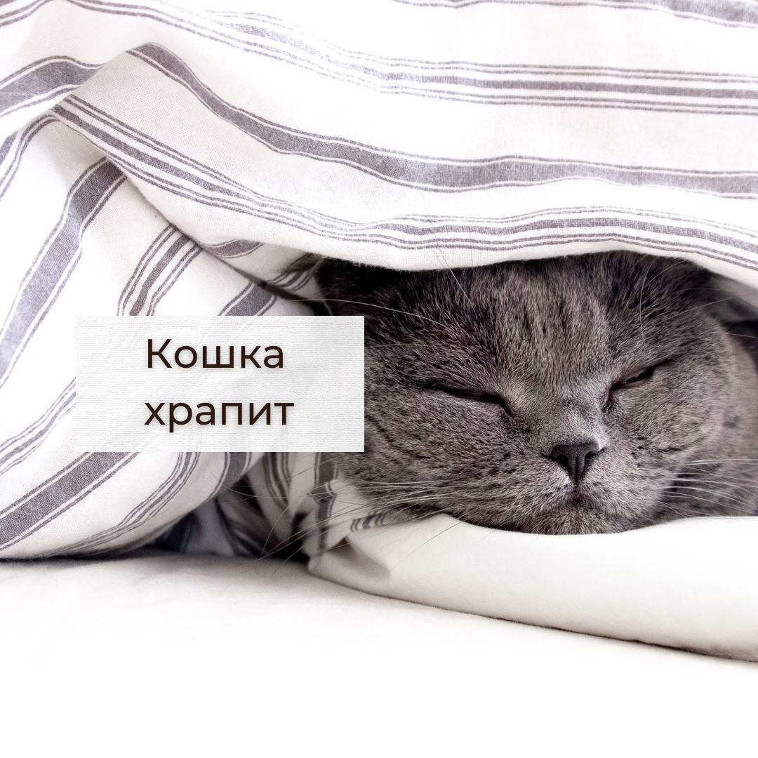 Если раньше не храпела, а тут вдруг начала, то к врачу. 